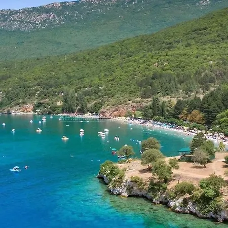 Stefano - Center, *