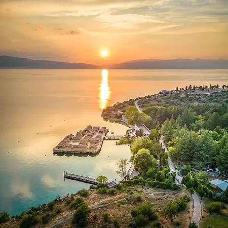Stefano - Center,